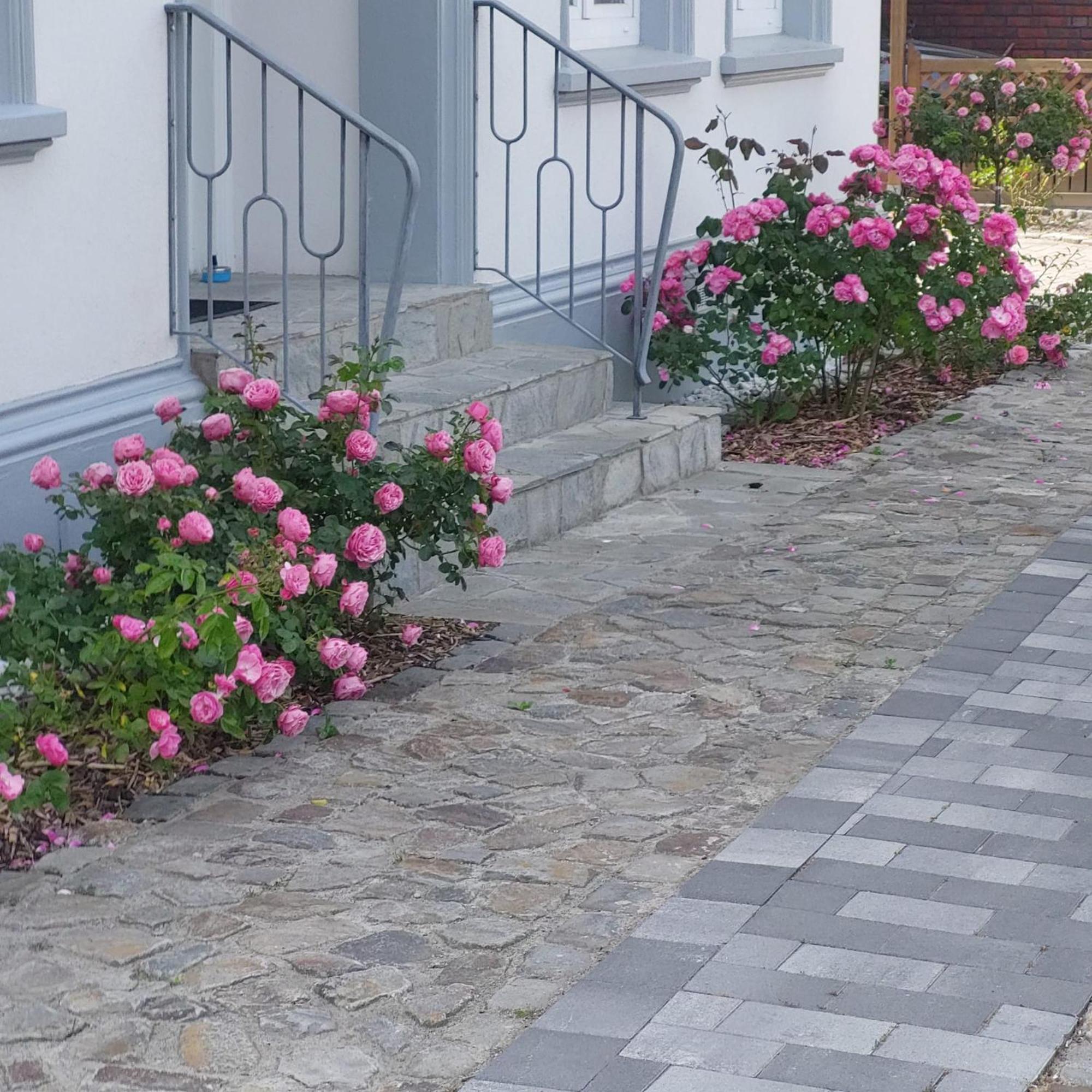 Privatunterkunft Im Erdgeschoss Nordenham Extérieur photo